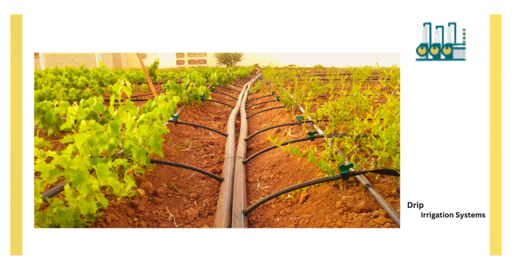 Drip Irrigation Systems of somalia