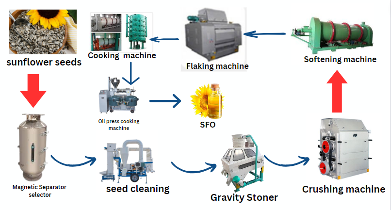 Steps the processing of sunflower oil