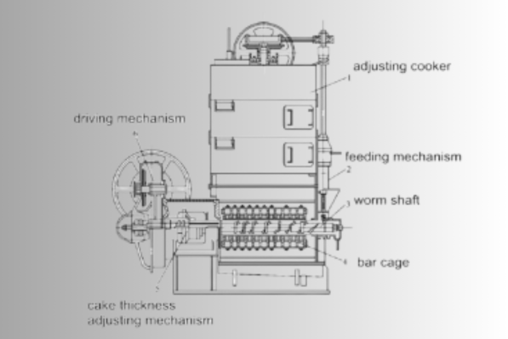 Structure and Working Principle of Coconut Oil Press Machine