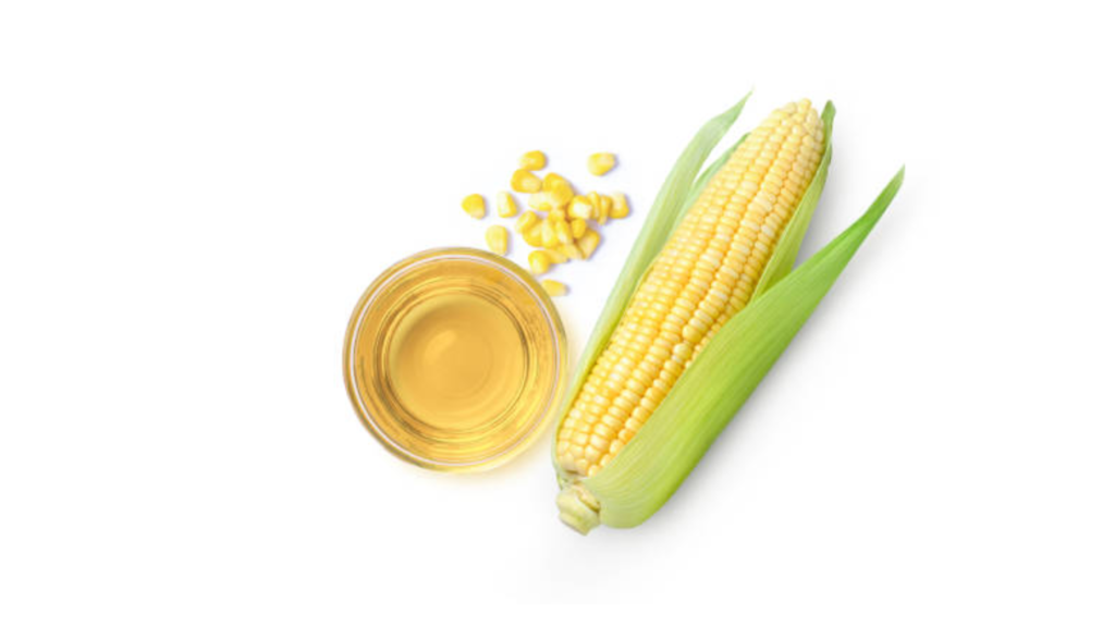 Corn (Maize)