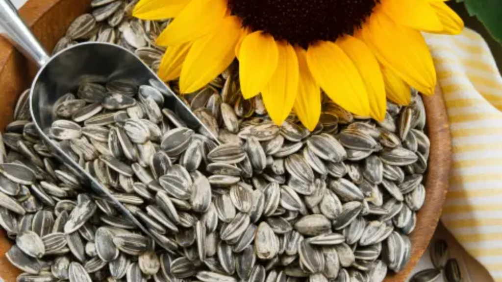 Sunflower Seeds